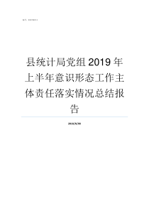 县统计局党组2019年上半年意识形态工作主体责任落实情况总结报告2019年县统计局三定方案