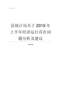 县统计局关于2019年上半年经济运行存在问题分析及建议2019年县统计局三定方案