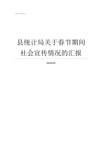 县统计局关于春节期间社会宣传情况的汇报宣传小结