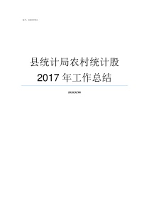 县统计局农村统计股2017年工作总结