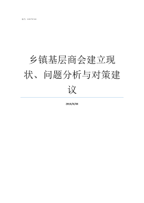 乡镇基层商会建立现状问题分析与对策建议乡镇干部的工作现状