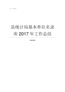 县统计局基本单位名录库2017年工作总结