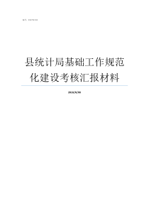 县统计局基础工作规范化建设考核汇报材料