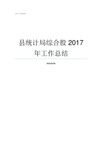 县统计局综合股2017年工作总结