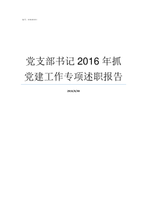 党支部书记2016年抓党建工作专项述职报告