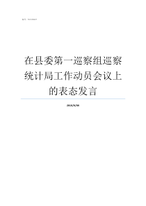 在县委第一巡察组巡察统计局工作动员会议上的表态发言