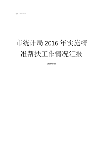 市统计局2016年实施精准帮扶工作情况汇报精准扶贫整改情况汇报