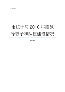 市统计局2016年度领导班子和队伍建设情况