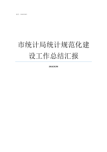 市统计局统计规范化建设工作总结汇报统计局怎么样