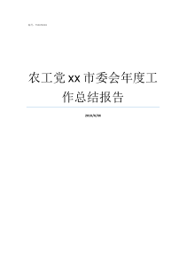 农工党xx市委会年度工作总结报告