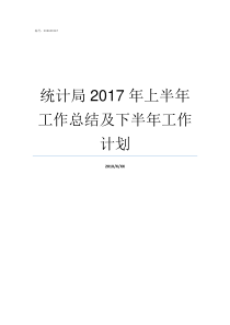 统计局2017年上半年工作总结及下半年工作计划