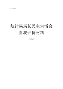 统计局局长民主生活会自我评价材料统计局局长什么级别