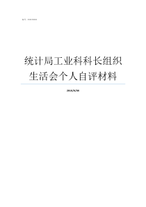 统计局工业科科长组织生活会个人自评材料统计局科长是什么级别