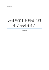 统计局工业科科长组织生活会剖析发言统计局科长是什么级别