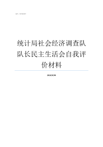 统计局社会经济调查队队长民主生活会自我评价材料统计局调查队如何改革