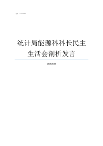 统计局能源科科长民主生活会剖析发言统计局科长是什么级别