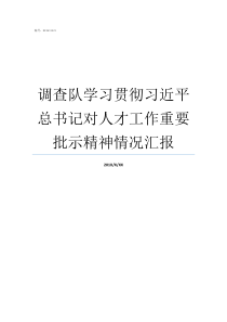 调查队学习贯彻习近平总书记对人才工作重要批示精神情况汇报