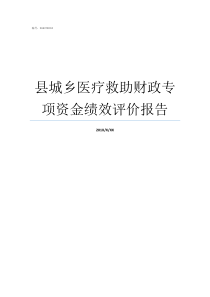 县城乡医疗救助财政专项资金绩效评价报告医疗救助