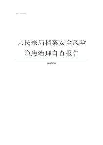 县民宗局档案安全风险隐患治理自查报告