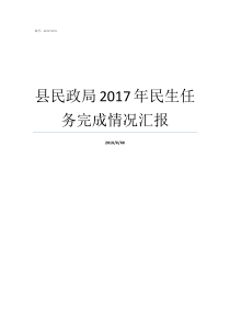 县民政局2017年民生任务完成情况汇报