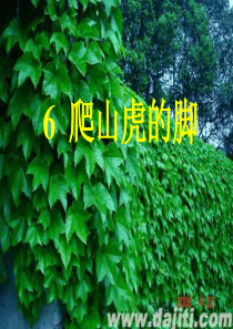 《爬山虎的脚》1课时PPT课件