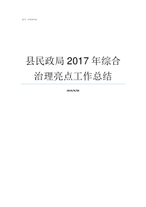 县民政局2017年综合治理亮点工作总结2017年综评分数线