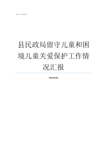 县民政局留守儿童和困境儿童关爱保护工作情况汇报县民政局