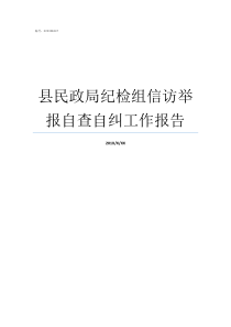 县民政局纪检组信访举报自查自纠工作报告纪检监察信访处理