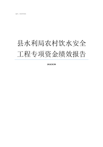 县水利局农村饮水安全工程专项资金绩效报告