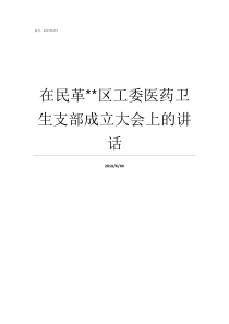 在民革区工委医药卫生支部成立大会上的讲话民革工委是什么级别