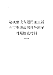 巡视整改专题民主生活会市委统战部领导班子对照检查材料巡视整改个人发言稿