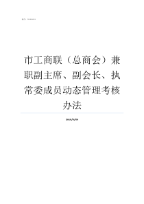 市工商联总商会兼职副主席副会长执常委成员动态管理考核办法