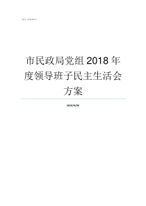 市民政局党组2018年度领导班子民主生活会方案党组理论中心组2018