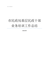 市民政局基层民政干部业务培训工作总结基层民政