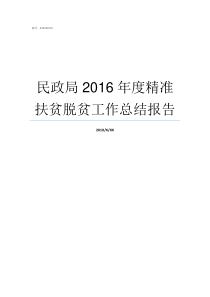 民政局2016年度精准扶贫脱贫工作总结报告