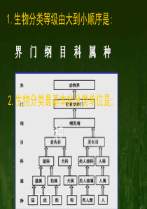 认识生物多样性课件