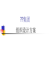 《中昌集团组织设计方案》32页