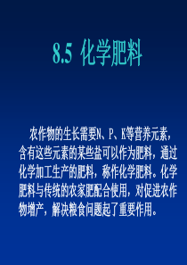 九年级化学下册 8.5 化学肥料课件2 粤教版