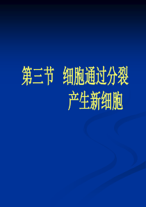 初中生物-细胞通过分裂产生新细胞PPT课件