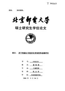 济宁网通公司差异化市场竞争战略研究