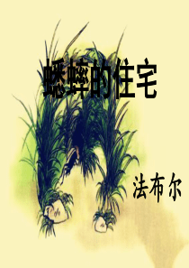 55《蟋蟀的住宅》课件