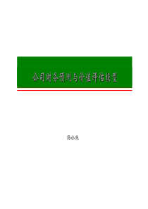 公司财务预测与价值评估模型