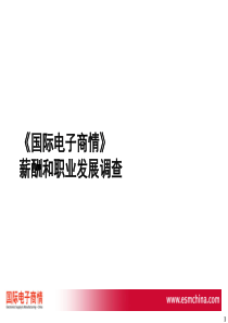 2004年中国电子行业薪酬和职业发展调查报告.ppt