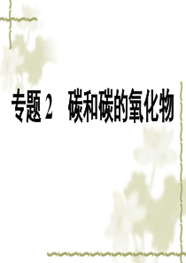 2011年化学中考复习课件专题2 碳和碳的氧化物