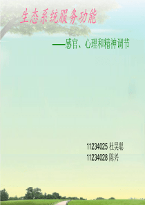 心理、感官和精神调节