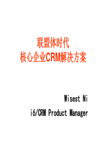 联盟体时代CRM解决方案（PPT 67页）