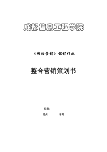 G2 整合营销策划书