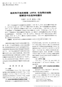 相关和不相关病毒mRNA在兔网织细胞裂解液中的竞争性翻译