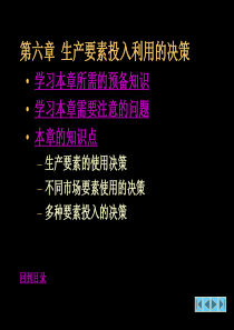 第六章生产要素投入利用的决策