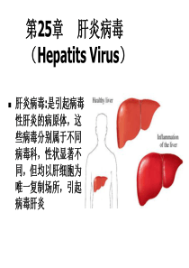 医学微生物学课件--第25章-肝炎病毒